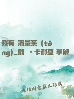 我有個流量系統(tǒng)